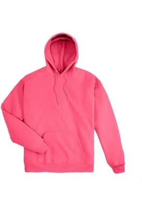 Hanes Ecosmart Hooded Sweatshirt