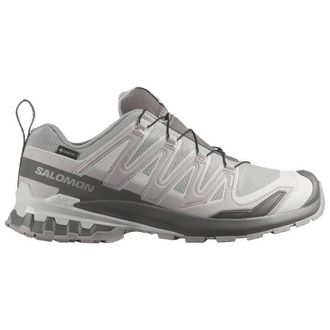Salomon XA Pro 3D V9 GTX Multisportschuhe f&uuml;r Herren | grau
