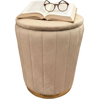 Relaxdays Relaxdays Velvet Stool, Storage Ottoman, Upholstered, HxD: 42 x 32 cm, Round Pouffe, Living Room, Coffee