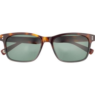 Ted Baker 55mm Polarized Square Sunglasses in Tortoise at Nordstrom Rack