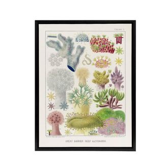Artery8 Great Barrier Reef Alcyonaria Kent Framed Canvas Wall Art Print in White | Size: W24 x H32