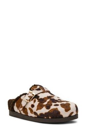 Dolce Vita Anina Faux Shearling Lined Mule in Cow Print at Nordstrom Rack, Size 5