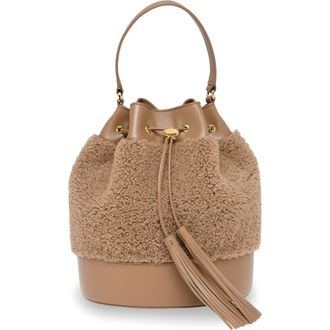 Gianvito Rossi Sienna 22 Crossbody bag in Brown Leather at Nordstrom