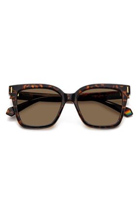 Polaroid 54mm Polarized Cat Eye Sunglasses in Havana/bronze Polar at Nordstrom