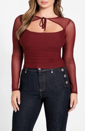 Guess Lauryn Long Sleeve Mesh Crop Top in F57F-Mediu at Nordstrom, Size Large