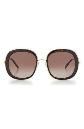 Missoni 53mm Round Sunglasses in Havana at Nordstrom Rack