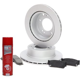 OEM Juego De Discos Y Pastillas De Freno Trasero 201002070