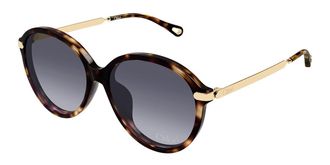 Chlo&eacute; CH0358SK Asian Fit 002 Womens Sunglasses Tortoiseshell Size 59