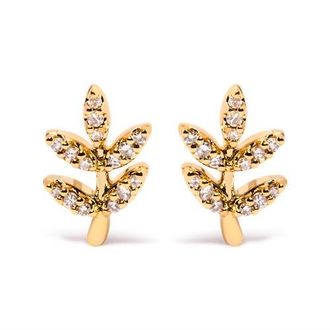 House of Brilliance 10K Yellow Gold 1/10 Cttw Diamond Accented Leaf and Branch Stud Earrings at Nordstrom