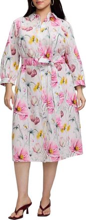 Foxcroft Esther Floral Belted Cotton Shirtdress in Pink/Multi at Nordstrom, Size 2X