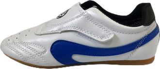 Generic Unisex Taekwondo Shoes, Martial Arts Sports Boxing Karate Taichi Lightweight for Kids Women Men Adult(Blue,10.5 UK Child)