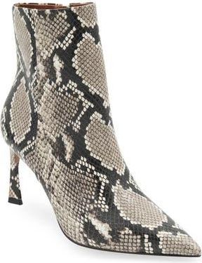 Bcbgmaxazria Pia Pointed Toe Bootie in Natural Snake at Nordstrom Rack, Size 9.5