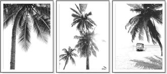OEM Poster Palmera - Dise&ntilde;o En Blanco Y Negro - Para Pared - Paisaje De Playa - 40x50 Cm - Lote De 3
