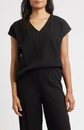 Eileen Fisher V-Neck Organic Cotton Crewneck T-Shirt in Black at Nordstrom, Size Xx-Small