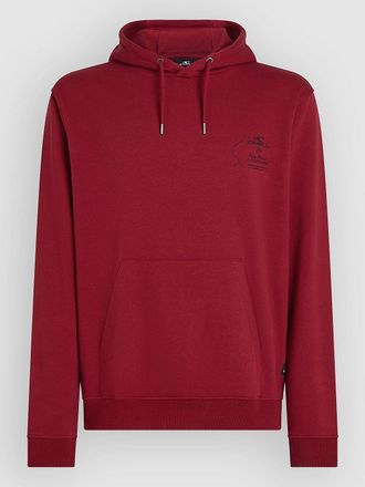 O'Neill Must-Have Hoodie rot