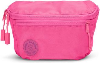 Baboon to the Moon Fannypack 3L in Pink at Nordstrom, Size X-Small