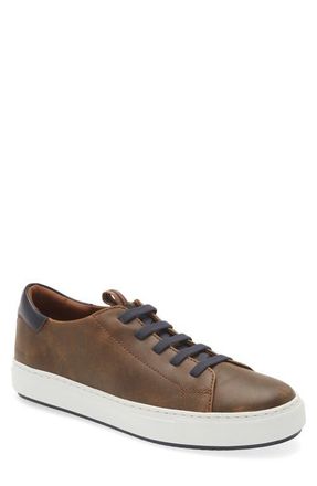Johnston & Murphy Anson Lace to Toe Sneaker in Brown Full Grain at Nordstrom, Size 10.5