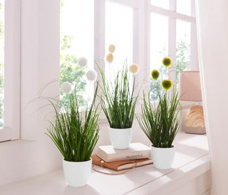 Creativ Green Kunstgras »Grasbusch«