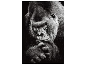 Schubiger M&ouml;bel Digitaldruck auf Glas Einsamer Grorilla