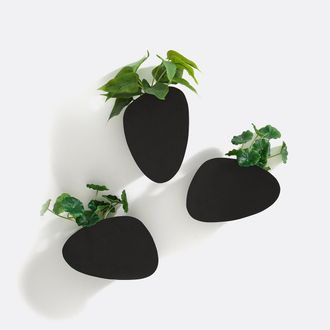 La Redoute Interieurs Set van 3 wand bloempotten in metaal, Pavo