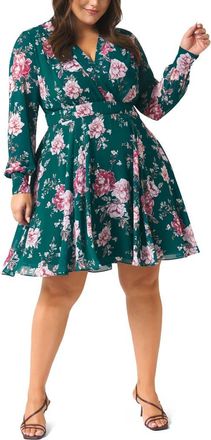 Ever New Freya Floral Long Sleeve A-Line Dress in Emerald Garden at Nordstrom, Size 16W