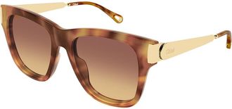 Chlo&eacute; CH0349S 002 Womens Sunglasses Tortoiseshell Size 54