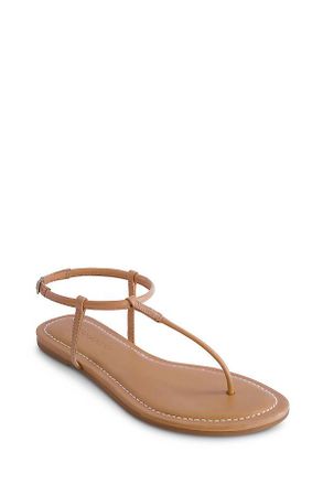 Anthropologie Bernardo Hercules Thong Sandals