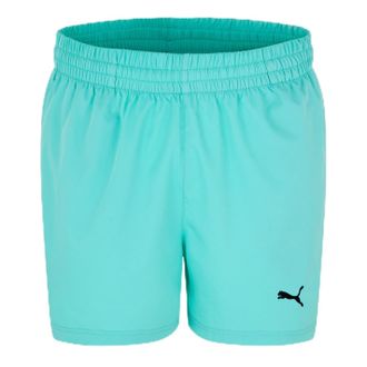 Puma Puma Mens Essentials Woven Shorts 5 Tracksuit Short Turquoise M