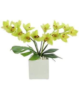 Creative Displays Inc. Green Orchid Floral Arrangement