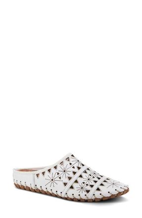 Spring Step Fusalide Mule in White at Nordstrom, Size 9.5-10Us