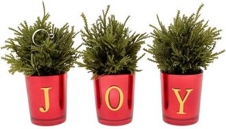 National Tree Company 8In Christmas Joy Tabletop, Set Of 3
