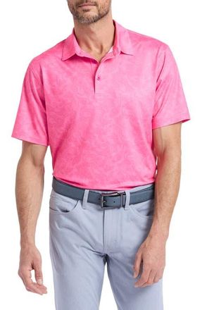 Robert Graham Orsett Performance Golf Polo in Pink at Nordstrom, Size Xxx-Large