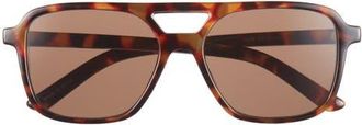 BP. Aviator Sunglasses in Brown Tortoise at Nordstrom