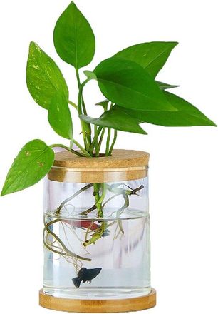 OEM Mini Jarr&oacute;n Para Flores Y Esquejes - Jarr&oacute;n De Mesa De Cristal Para Decoraci&oacute;n Y Bodas