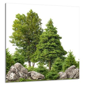 OEM Pannello In Vetro Per Cucina 60x65 Trees