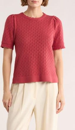 Adrianna Papell Pointelle Stitch Short Sleeve Sweater in Rose at Nordstrom Rack, Size X-Large