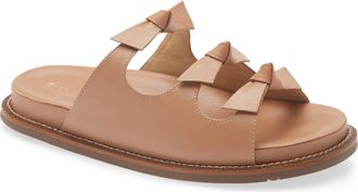 Chocolat Blu Zoya Slide Sandal in Camel Leather at Nordstrom, Size 6.5-7Us