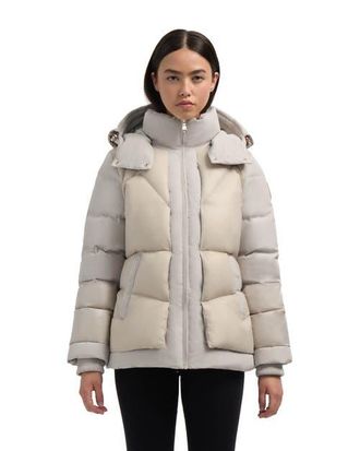 Pajar Vega Mixed Media Puffer Jacket with Removable Hood in Champagne at Nordstrom, Size X-Small