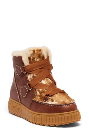Sorel x Aspen Collection Ona Ave Alpine Lux Genuine Shearling Waterproof Boot in Dark Amber/Gum at Nordstrom, Size 6.5