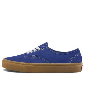 Vans Authentic Spectrum Blue Gum VN0A348A3ZE