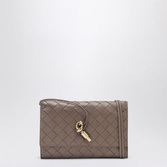 Bottega Veneta Andiamo pouch in beige Pinecone