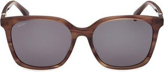 Max Mara 55mm Round Sunglasses in Brown Horn/smoke at Nordstrom