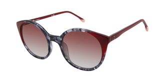 Champion WREN Polarized C01 Womens Sunglasses Tortoiseshell Size 51