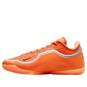 Nike LeBron 23 Shoe Bag IV5647-800