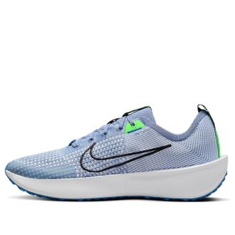 Nike Interact Run Ashen Slate FD2291-401