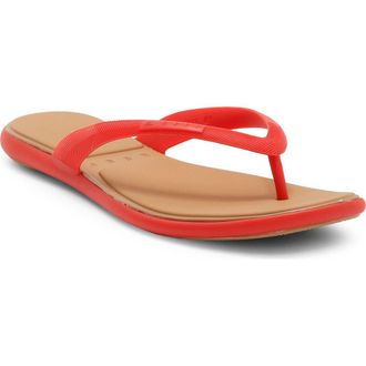 Reef Water Willow Malibu Sandals in Hibiscus at Nordstrom, Size 11