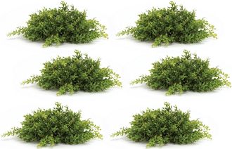 Melrose International Spring Mini Leaf Foliage Half Orb (Set of 6) - Green