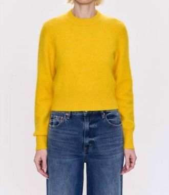 Pistola Denim Sara Sweater In Citron