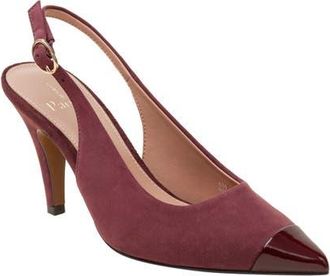 Linea Paolo Niyka Pointed Toe Slingback Pump in Dark Burgundy at Nordstrom, Size 7.5