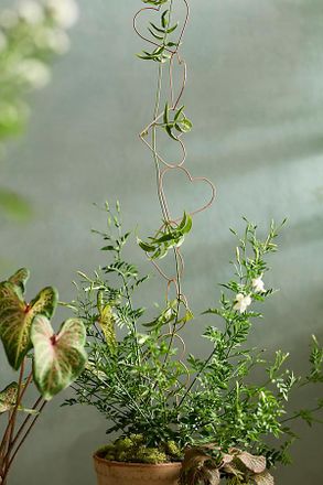 Terrain Heart Chain Copper Garland Trellis